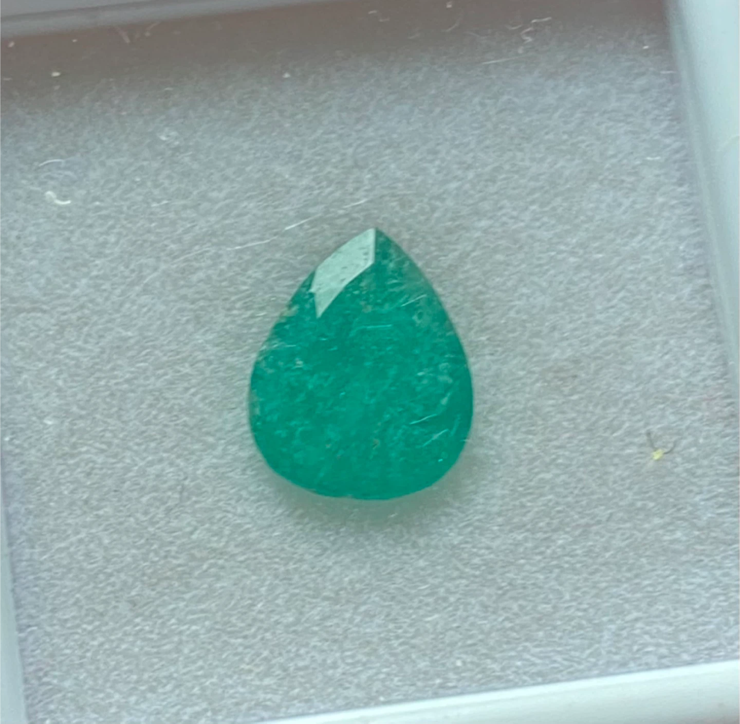 Emerald 🥕 - photo 3