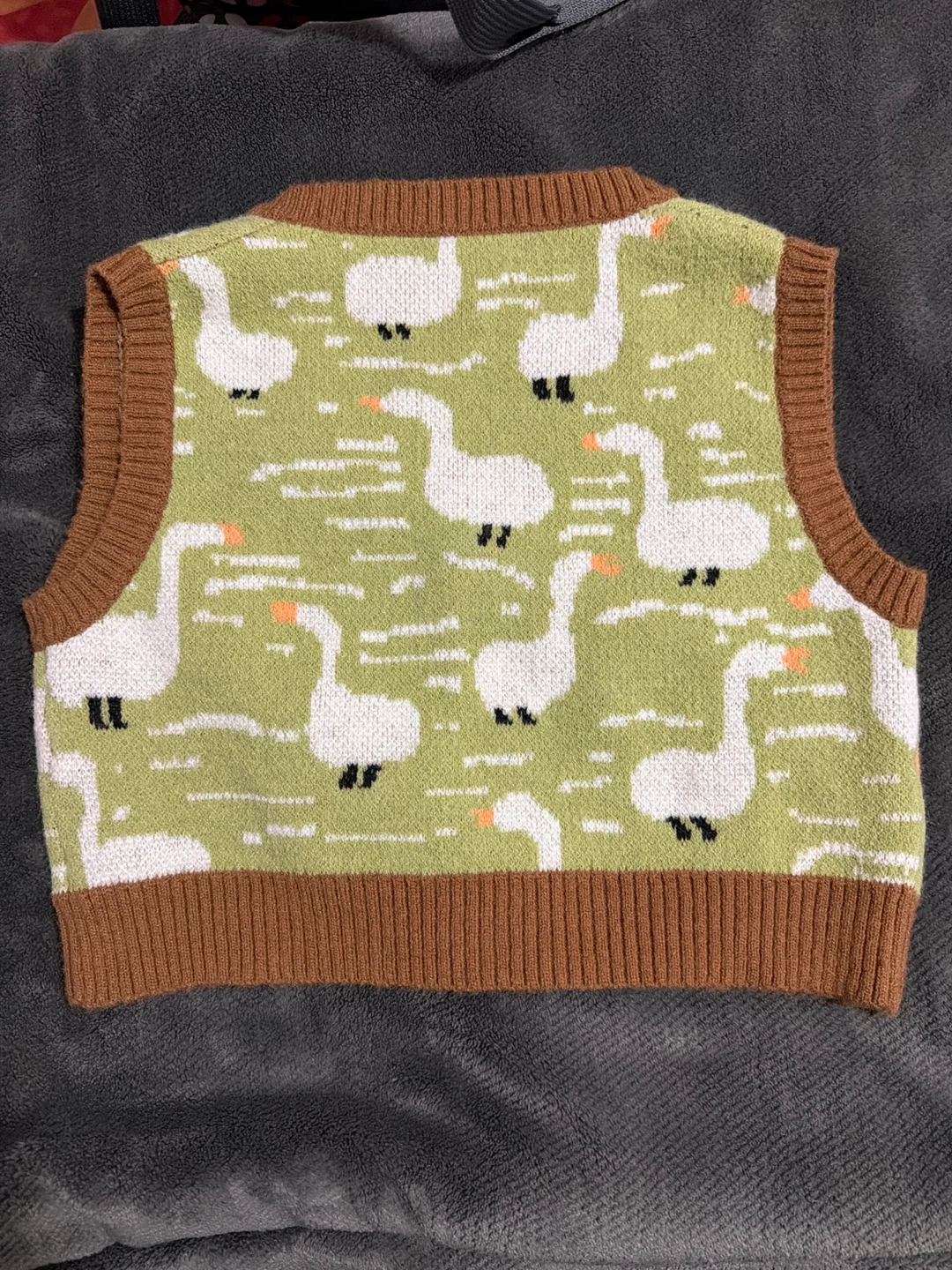 Green Goose Print Knit Vest - photo 2