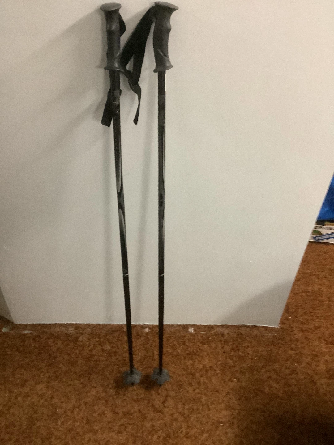 Used Ski Poles