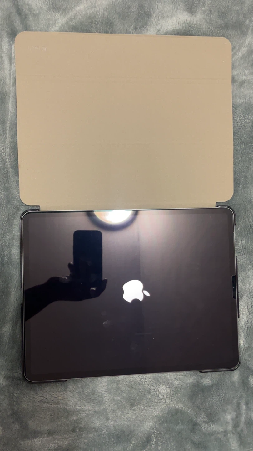 Apple iPad - photo 4
