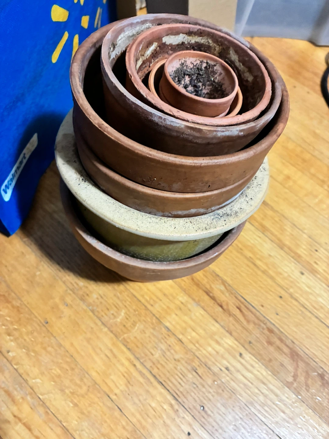 FREE seedling trays, fertilizers, assorted pots