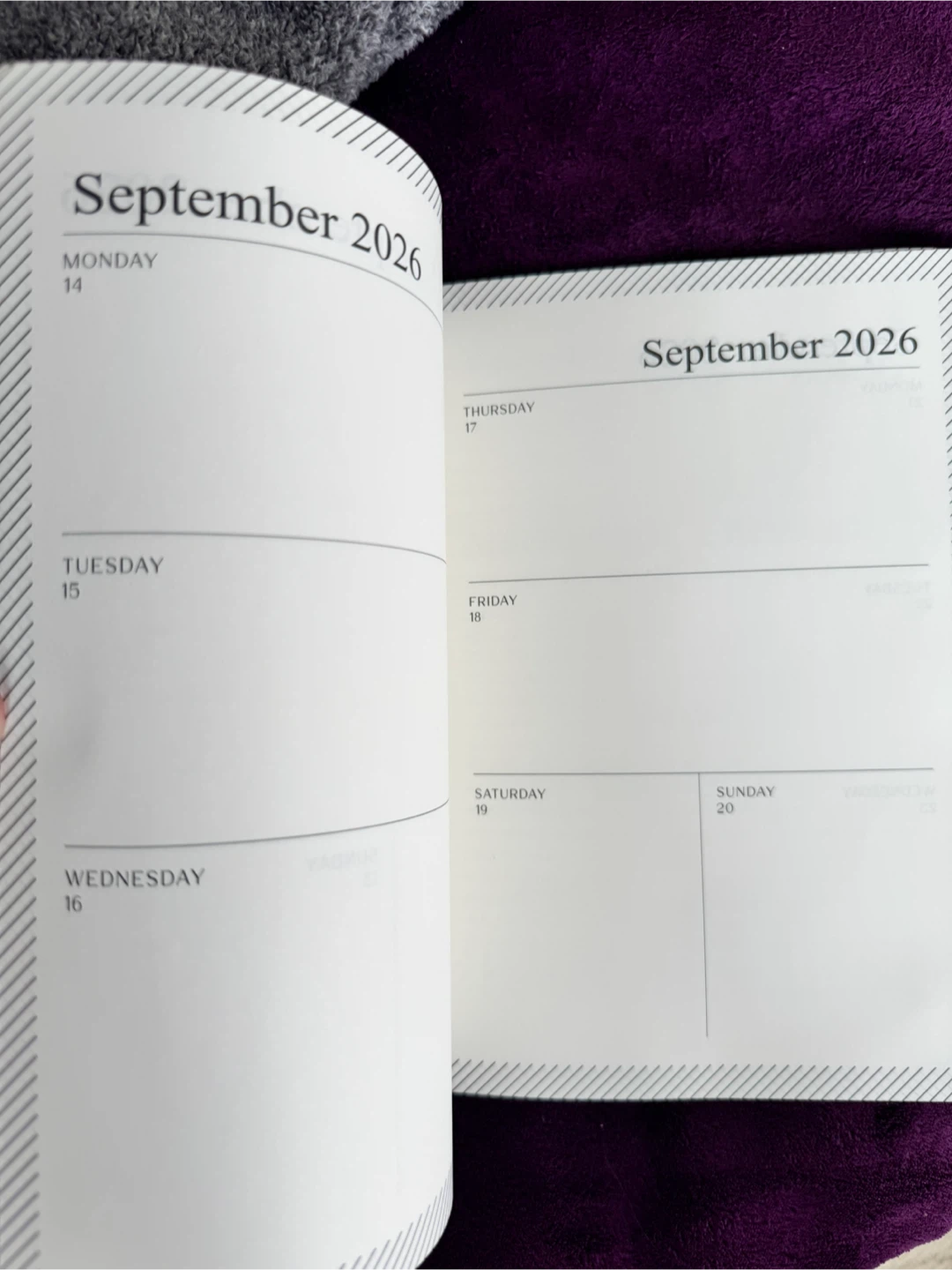 Busy Bee 2026 Weekly Planner - photo 2