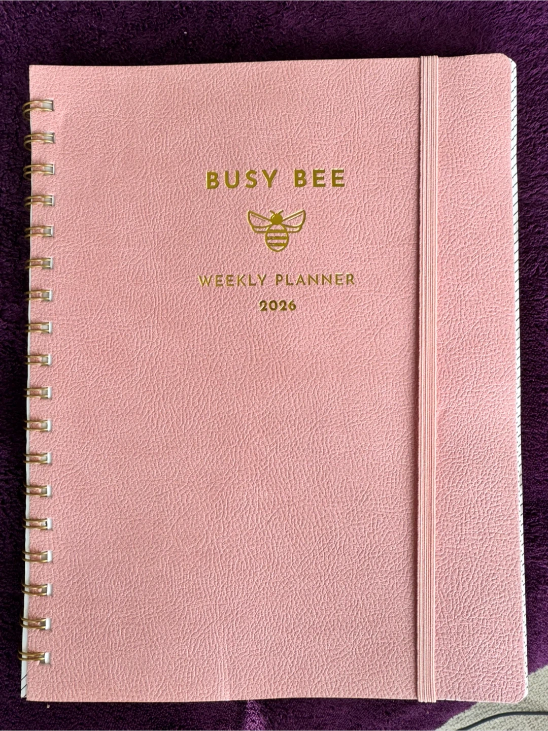 Busy Bee 2026 Weekly Planner