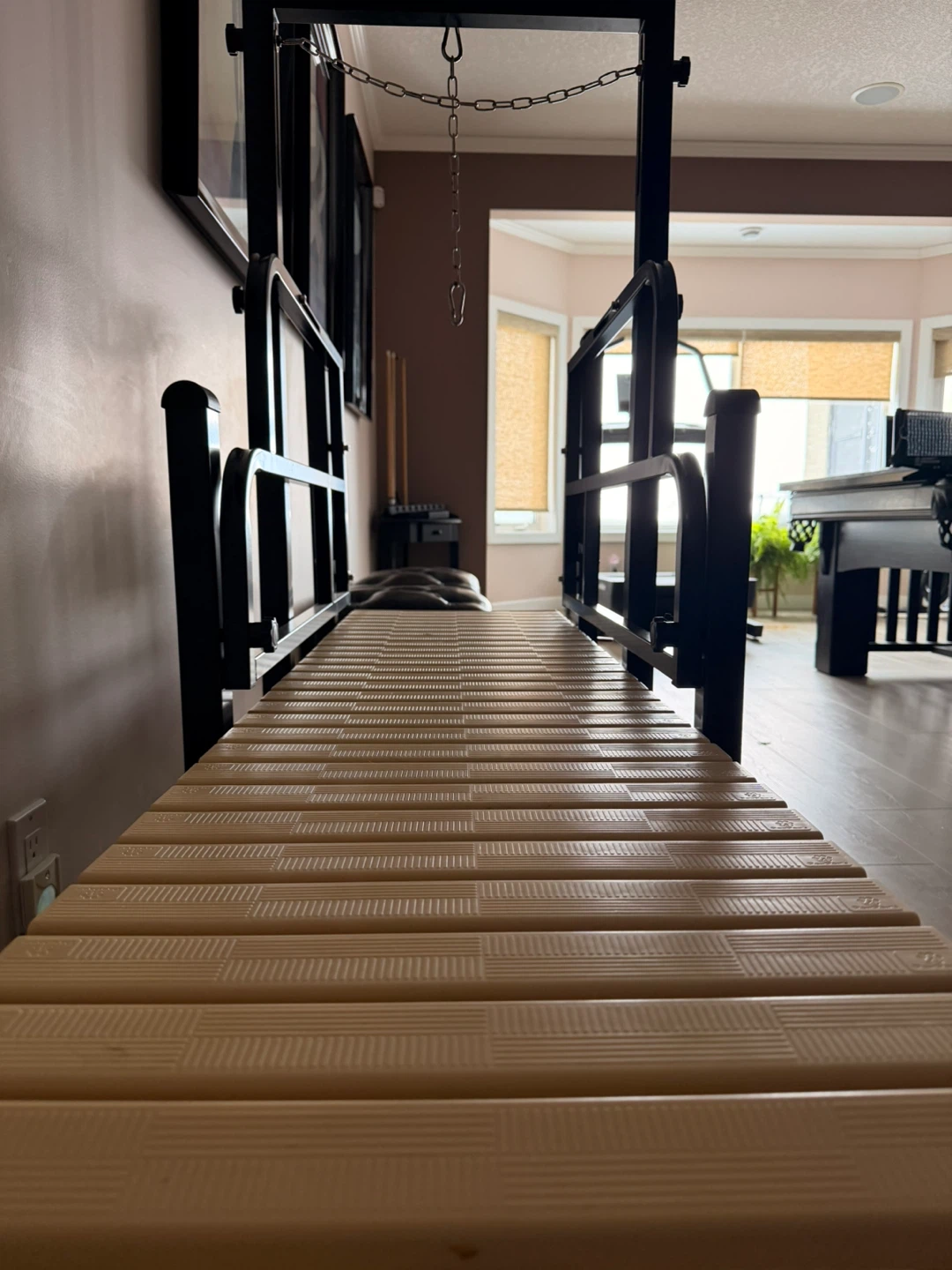PawPaws Dog Treadmill - photo 2