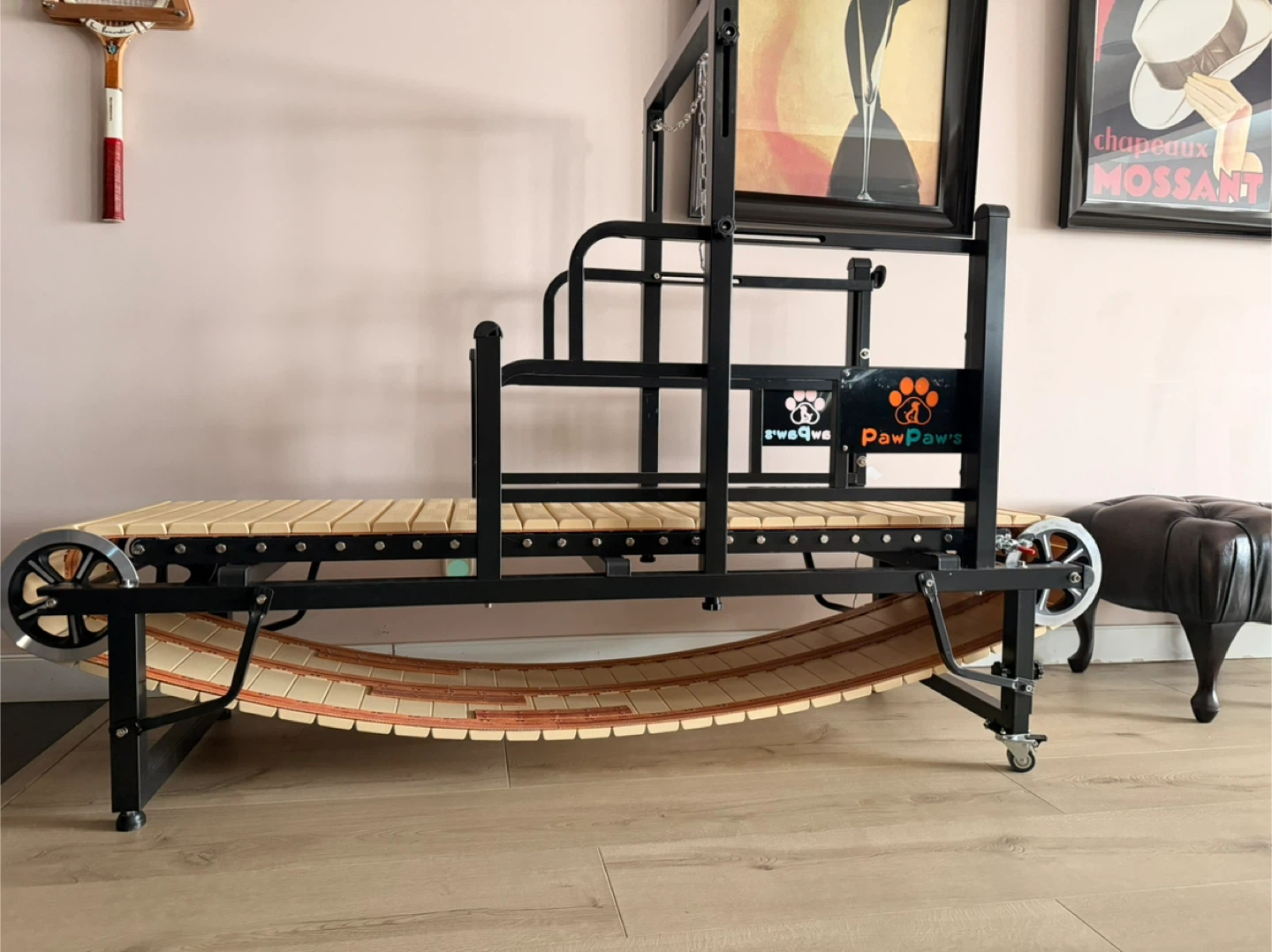 PawPaws Dog Treadmill