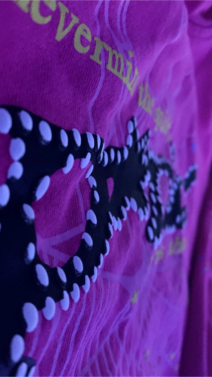 SP5R Pink Hoodie - photo 3