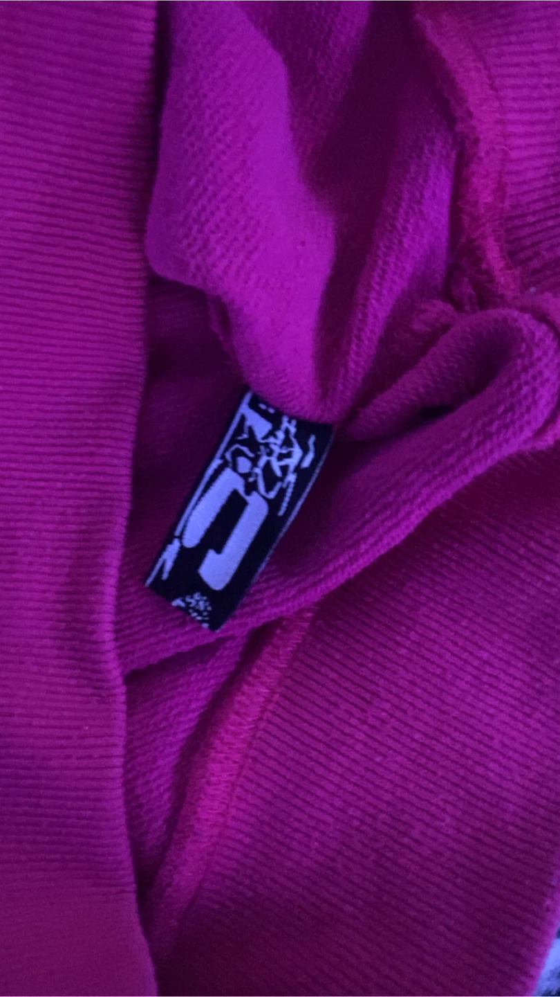 SP5R Pink Hoodie - photo 4