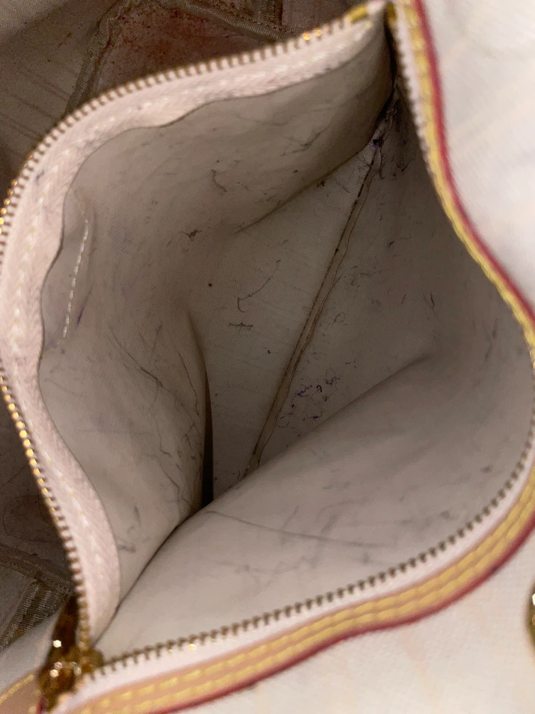 Louis Vuitton Tote Bag (I NEED IT GONE ASAP) - photo 5