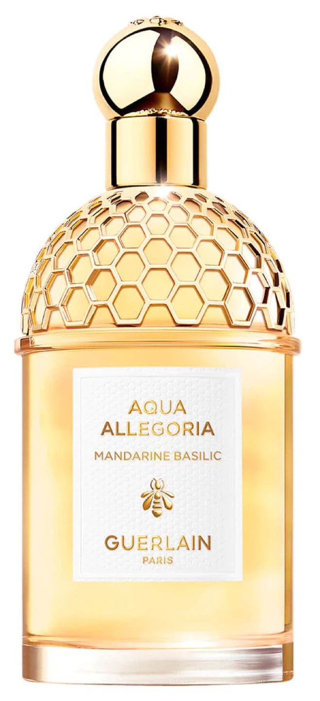 Guerlain - Aqua Allegoria Forte - Eau de Parfum 75 ml - photo 3