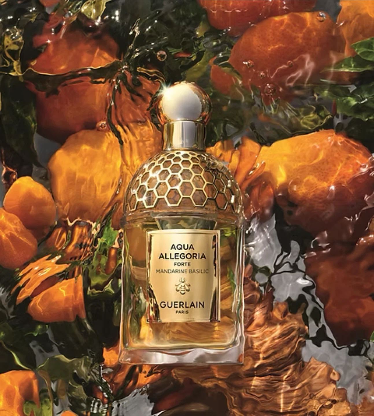Guerlain - Aqua Allegoria Forte - Eau de Parfum 75 ml - photo 2