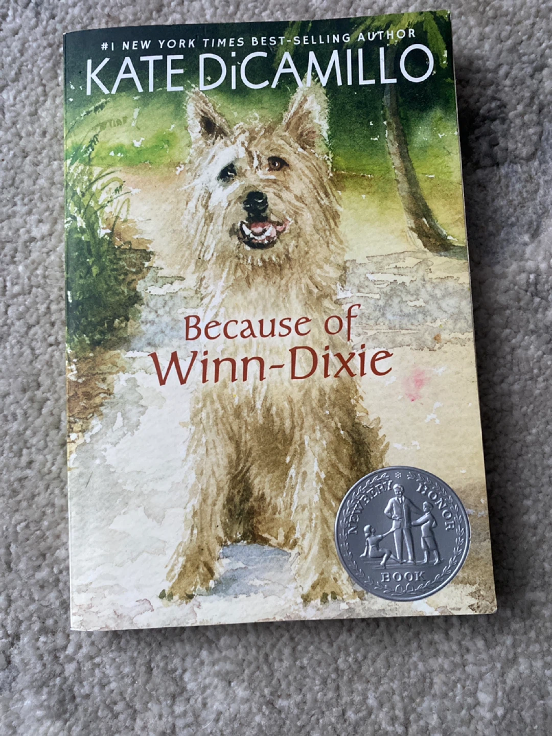 Because of Winn-Dixie by Kate DiCamillo - Newbery Honor Book
