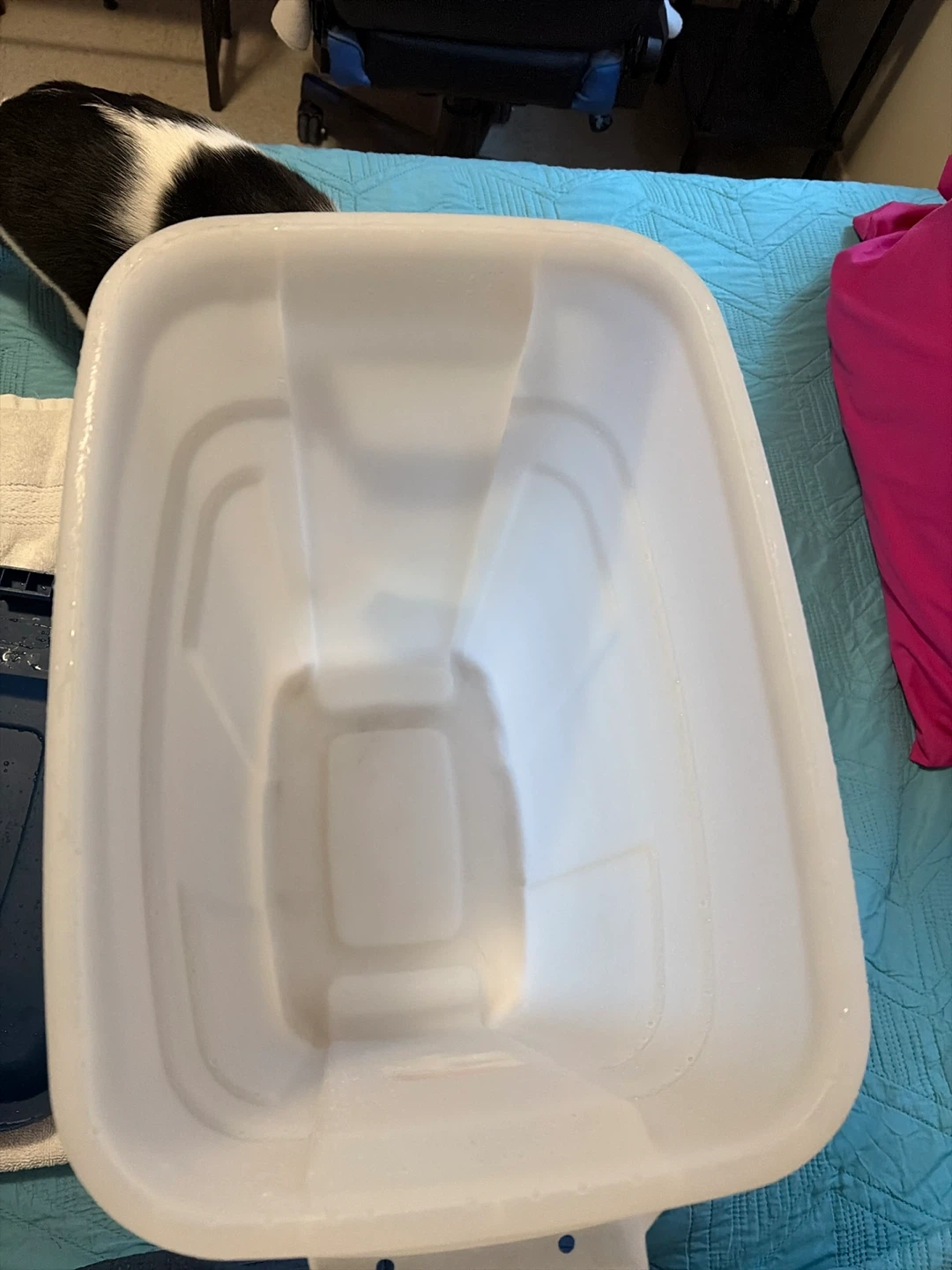 Rubbermaid Roughneck Tote Container🥕 - photo 3