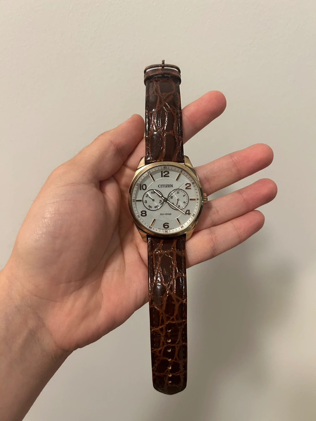 Citizen Corso White Dial Eco-Drive Watch 🥕