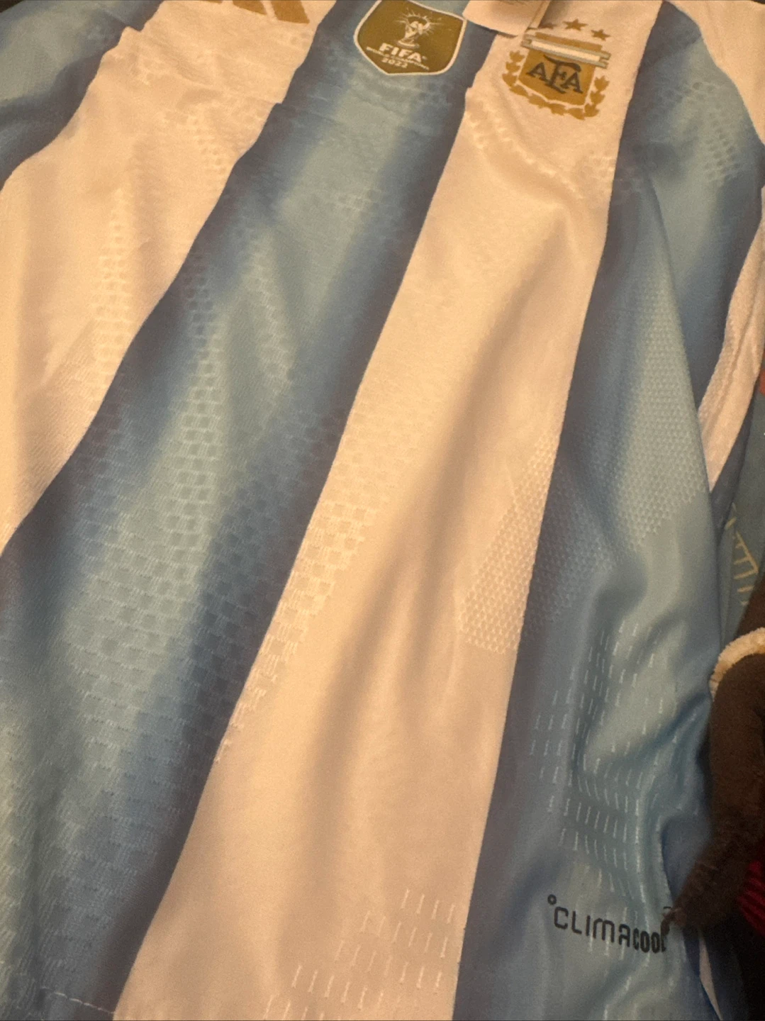 Argentina 2026 football team jersey - photo 3