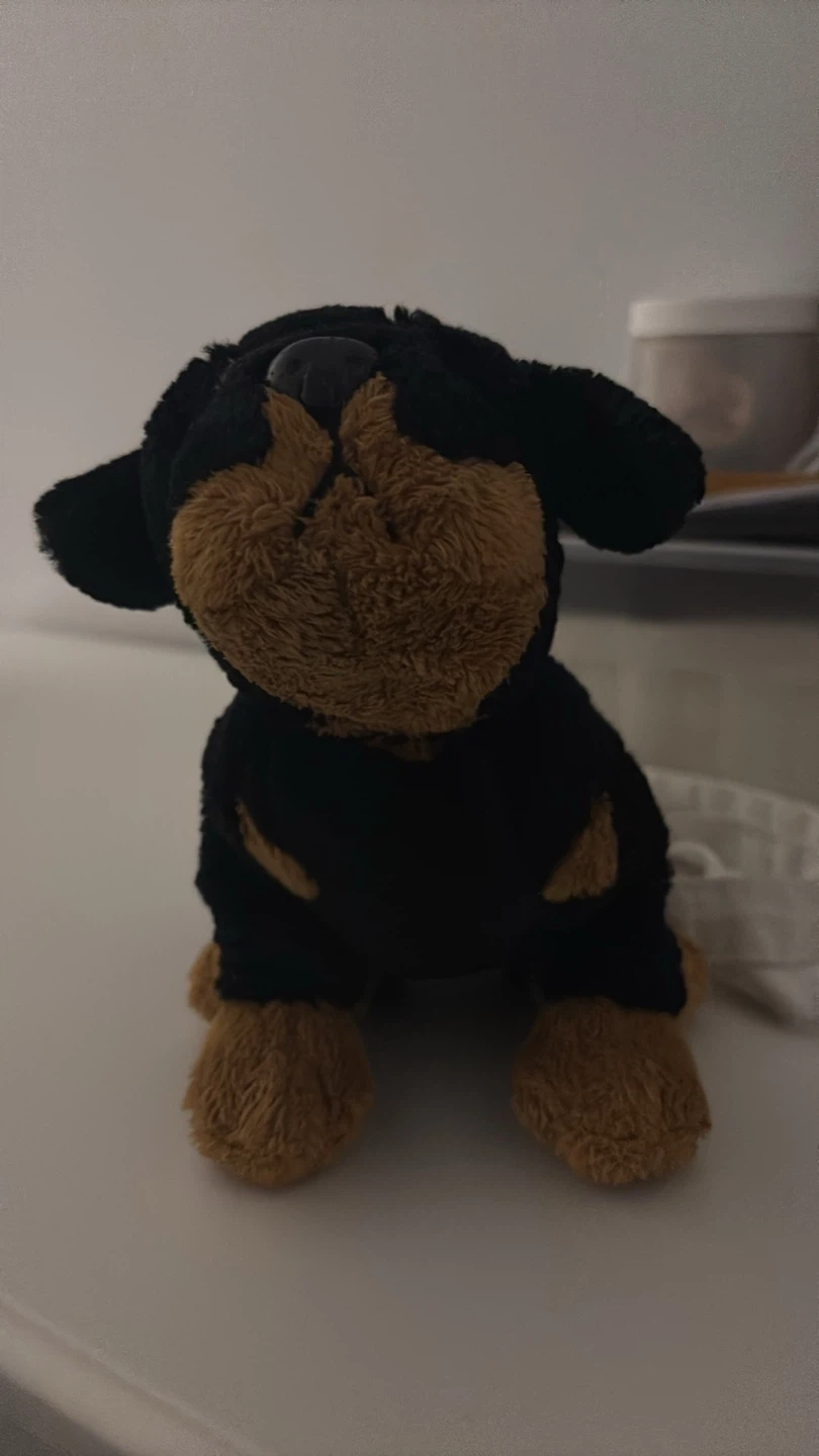 Collection of Plush Stuffed Animals - photo 3