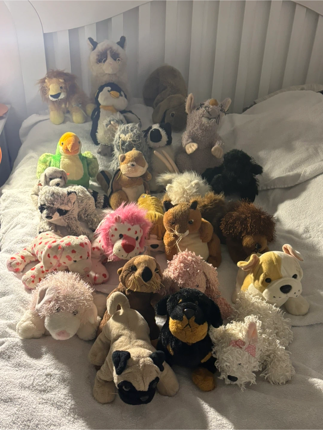 Collection of Plush Stuffed Animals