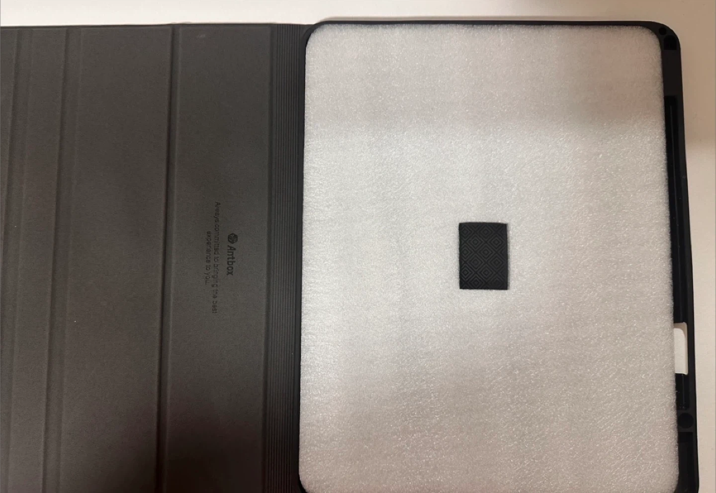 Antbox Folio Case for iPad Pro 🥕 - photo 3