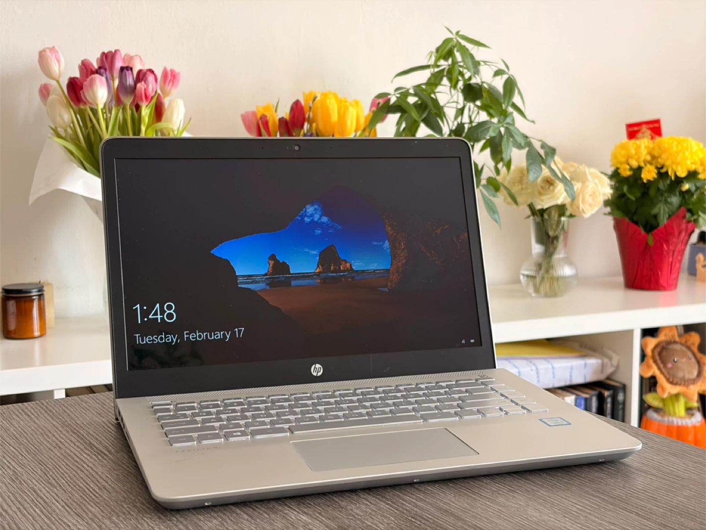 HP Pavilion 14-bk091st Laptop - Intel Core i5
