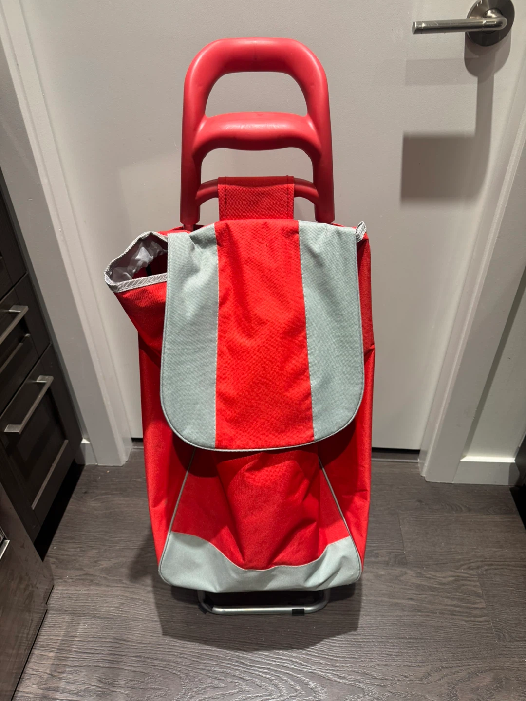 Shopping Cart Bag