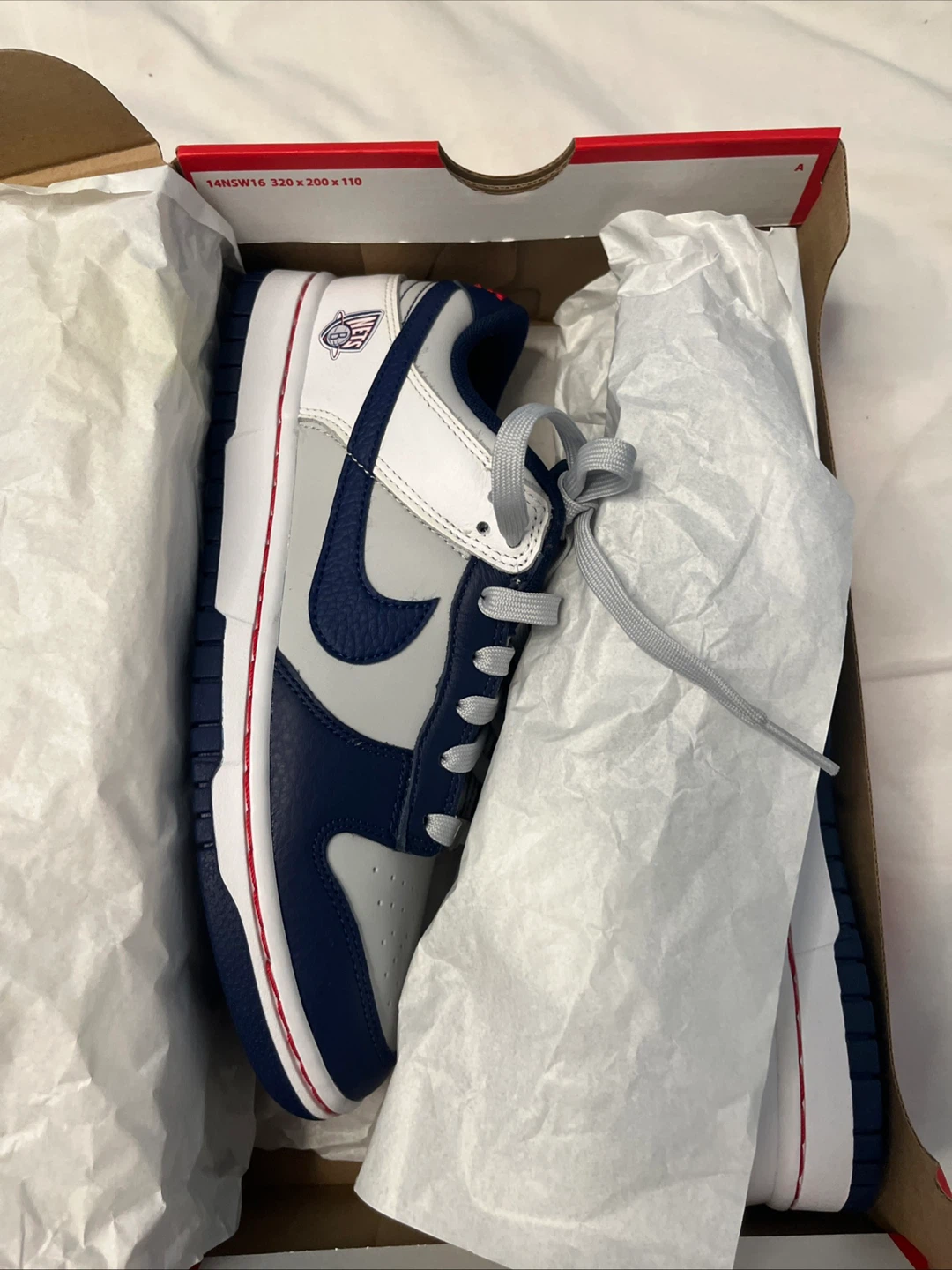 Nike Dunk Low "Nets" NBA 75th Anniversary