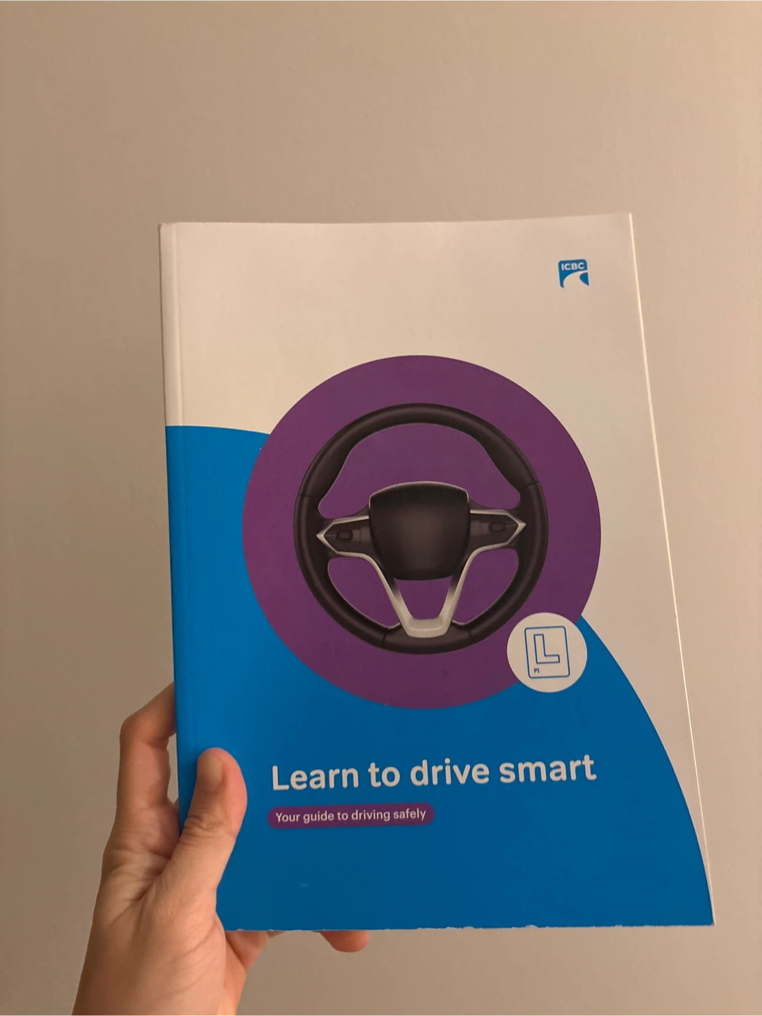 Learn to Drive Smart Book