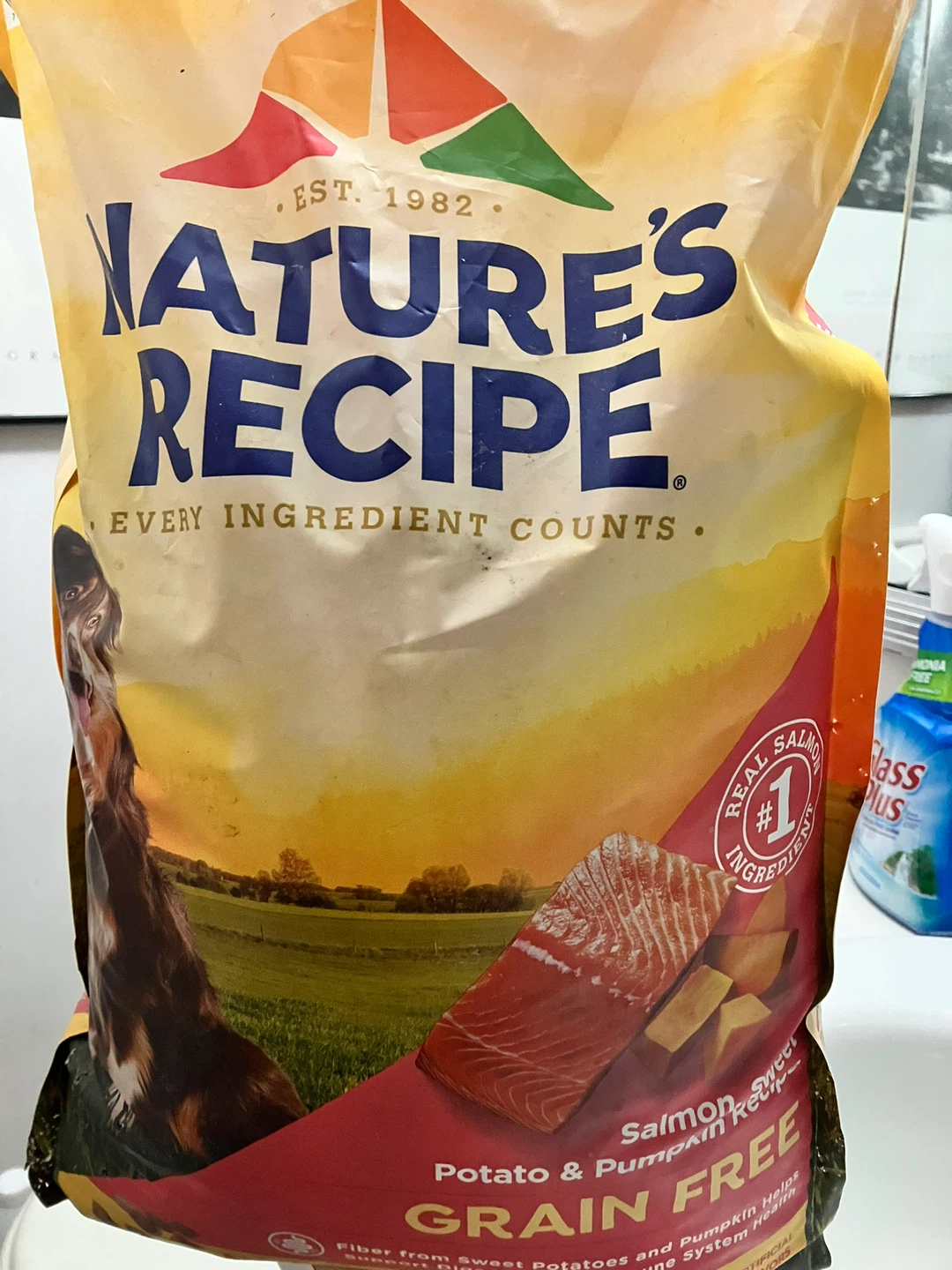 Nature's Recipe Salmon, Potato & Pumpkin Grain Free Dog Food