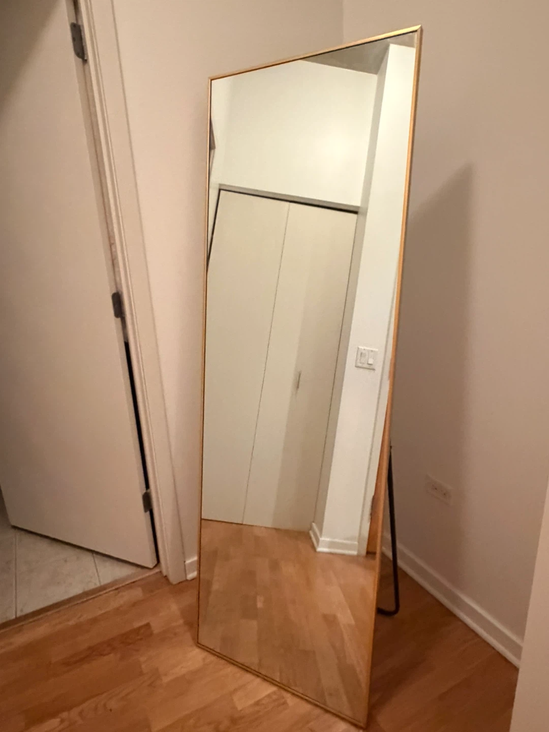 Gold Framed Full Body Mirror