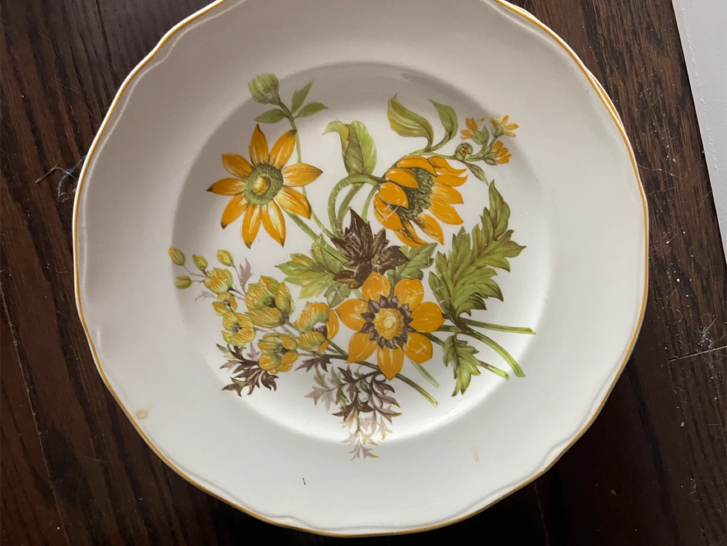 Bristo English Ironstone Plate - photo 4
