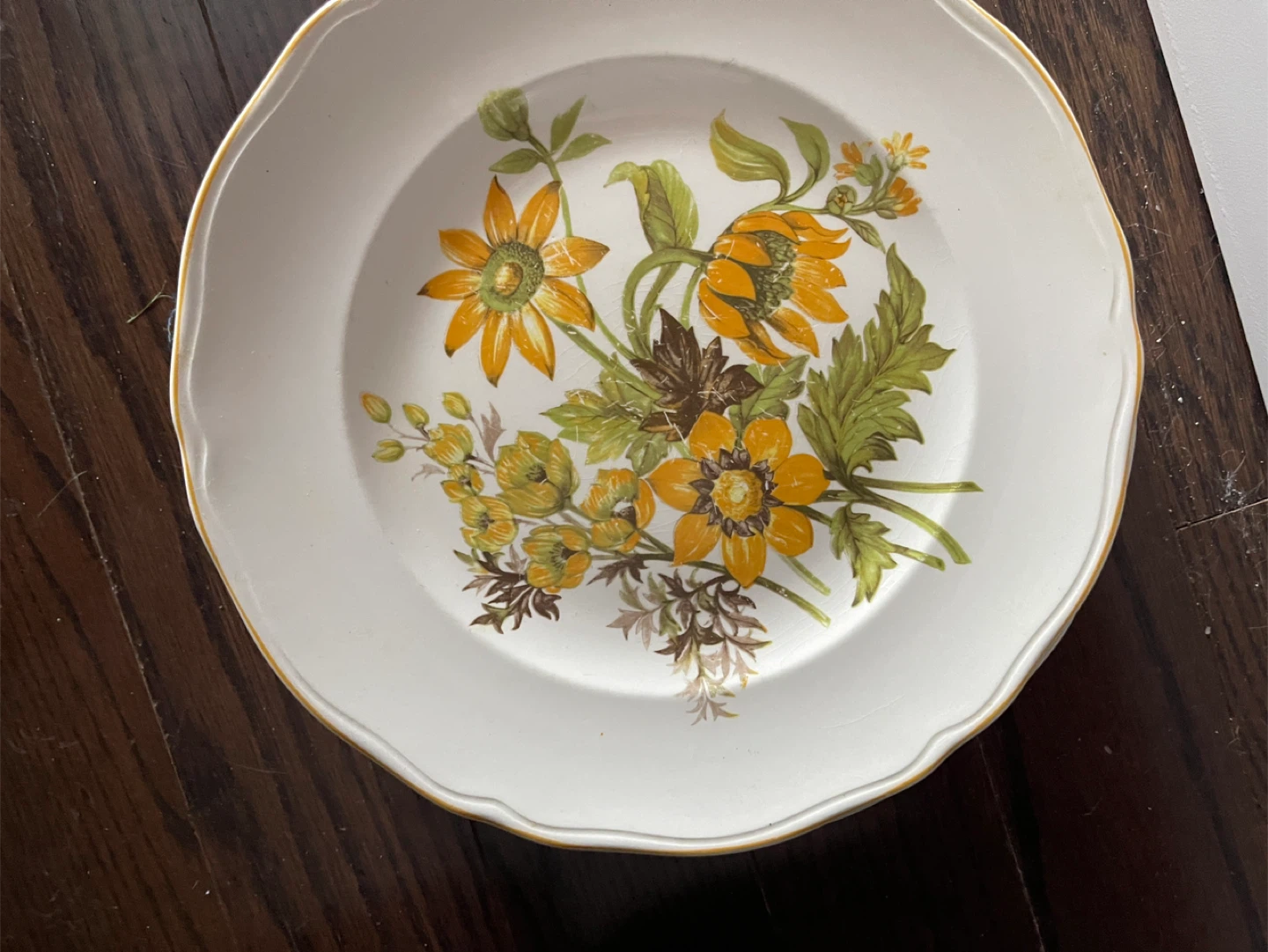 Bristo English Ironstone Plate - photo 5