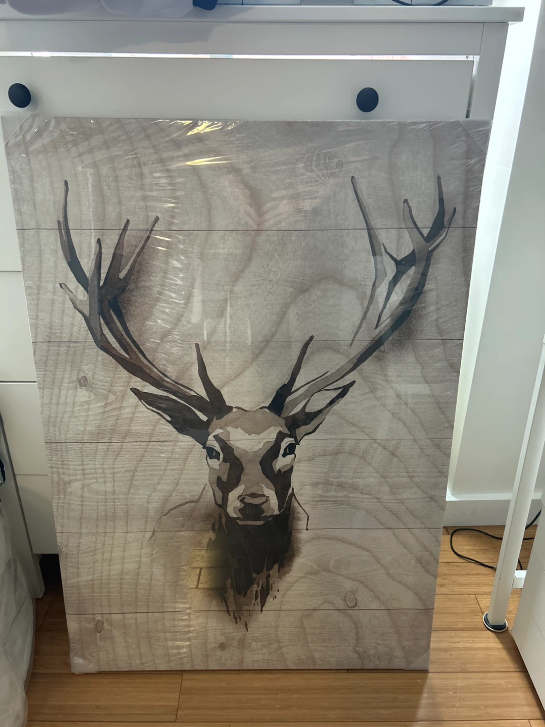 Deer Wall Art Canvas Print