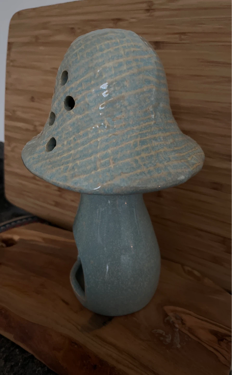 Whimsical Mushroom