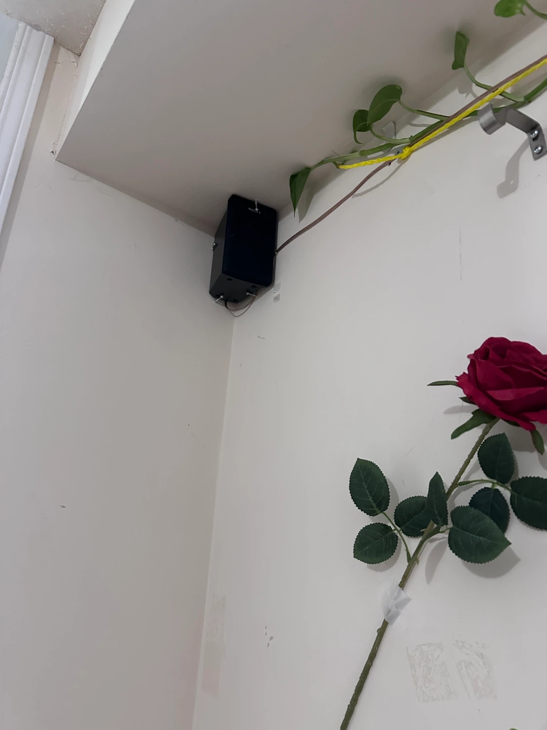 Sony Surround Sound Speakers and Floor Speaker - photo 3