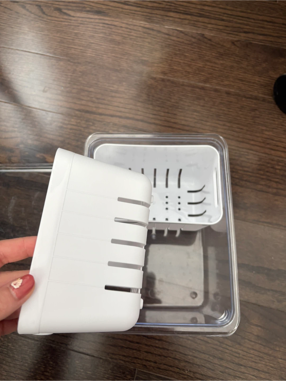 Berry Container with 2 Organizers 🥕 - photo 2