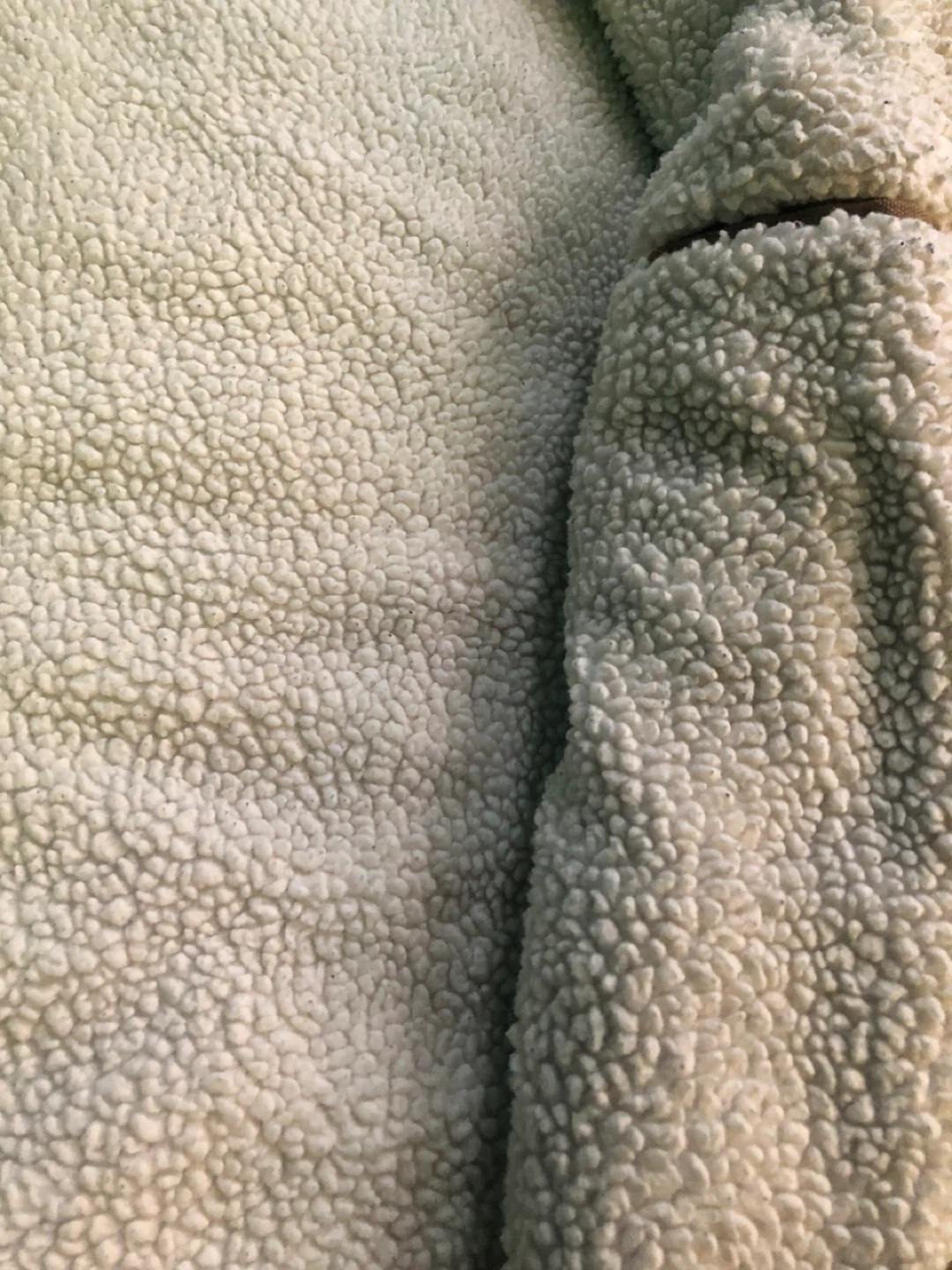 Levi Strauss & Co. Sherpa Lined Trucker Jacket Size L - photo 2