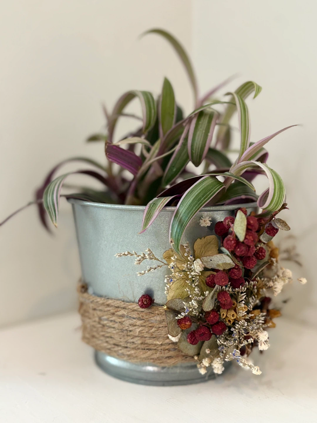 🔅Decorative Potted Plant with Dried Flowers - photo 4