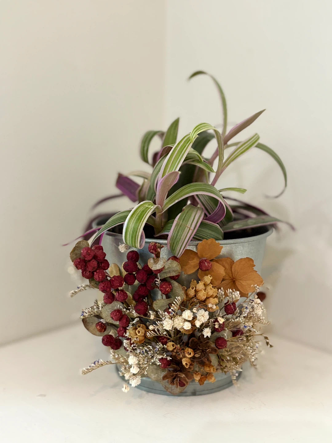🔅Decorative Potted Plant with Dried Flowers