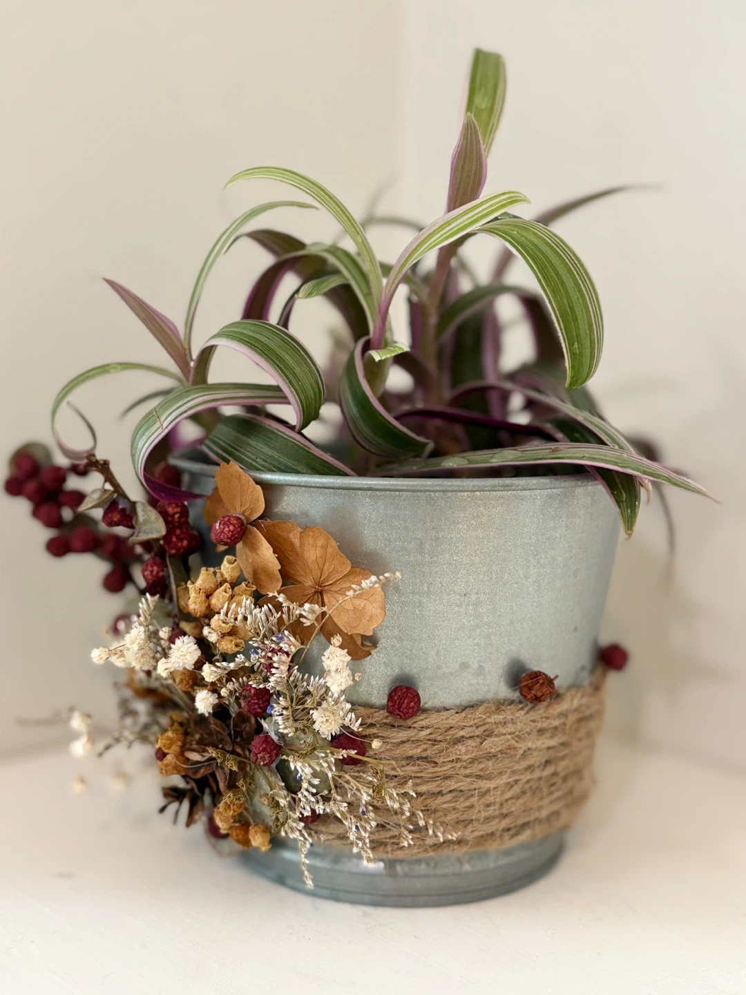 🔅Decorative Potted Plant with Dried Flowers - photo 3