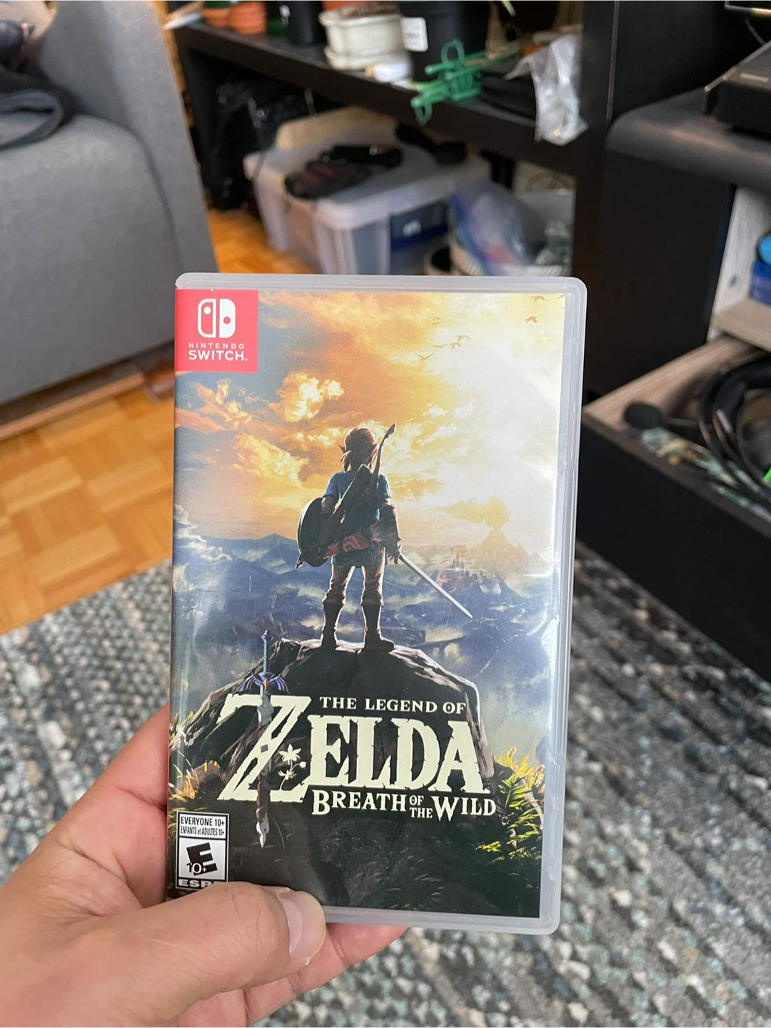 The Legend of Zelda: Breath of the Wild Nintendo Switch Game