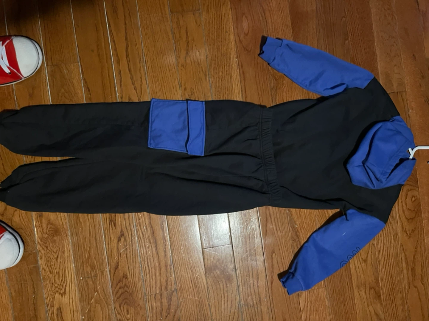Sonic the hedge hogs sweat suit and Nike sweats - photo 2