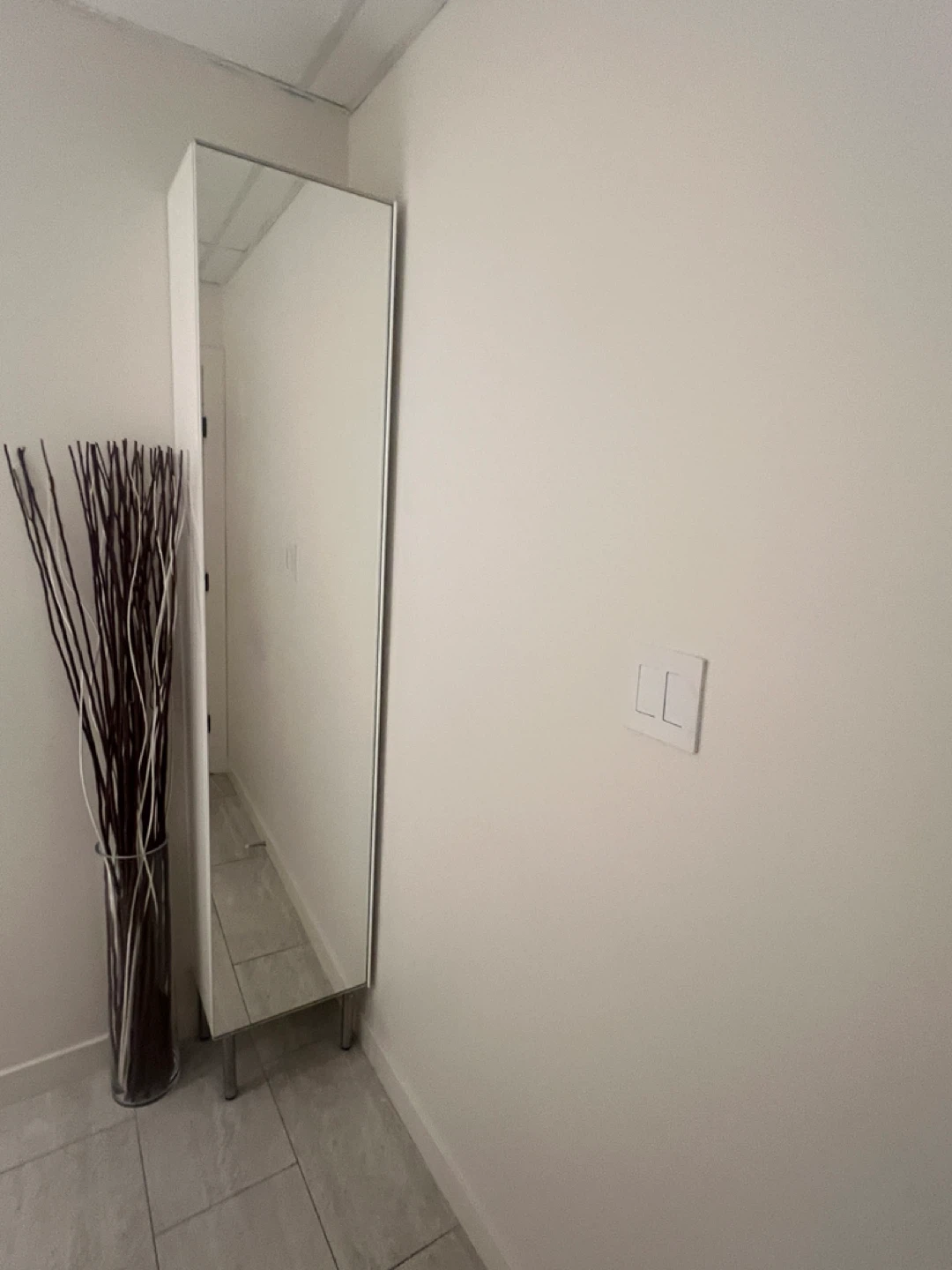 Tall Mirror with Storage Shelf