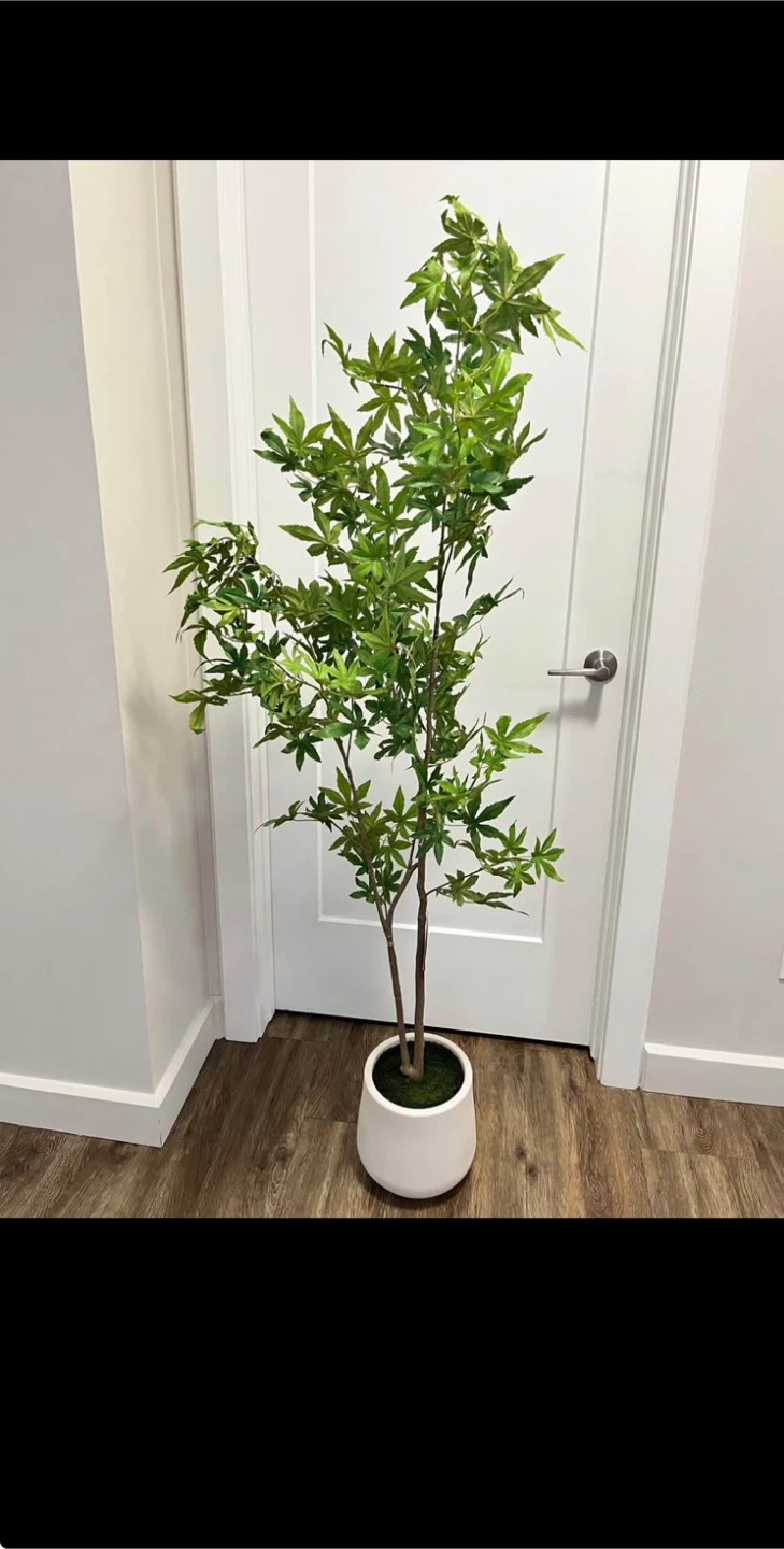 Artificial Maple Tree Plant in White Pot - photo 2