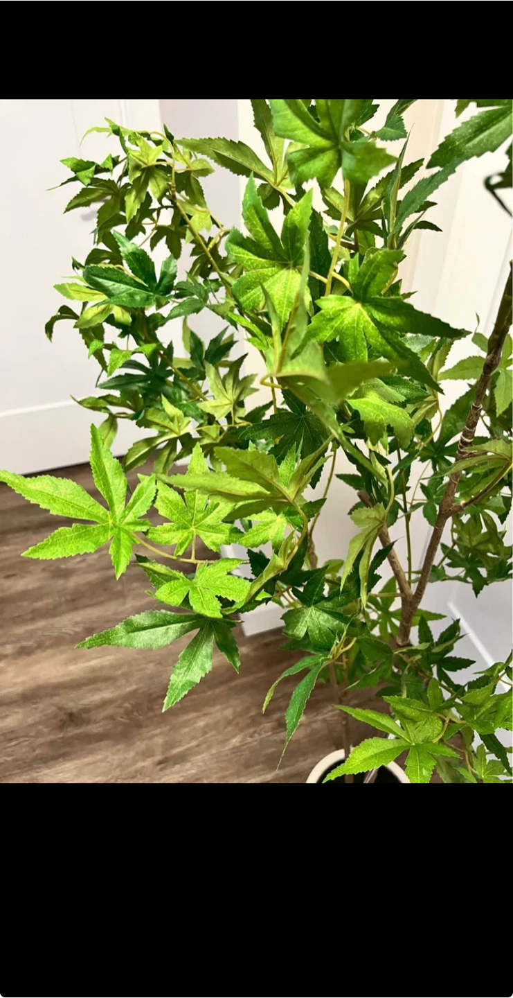 Artificial Maple Tree Plant in White Pot