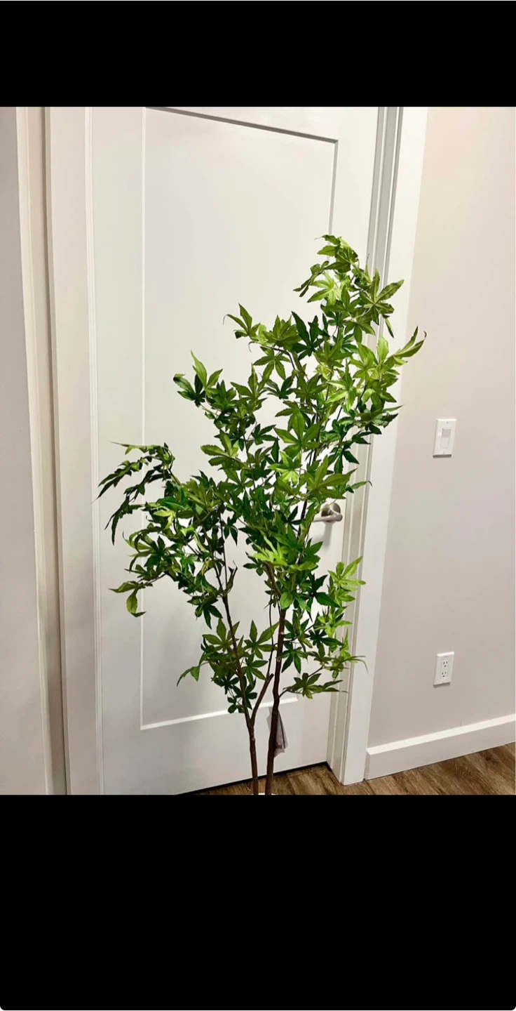 Artificial Maple Tree Plant in White Pot - photo 3