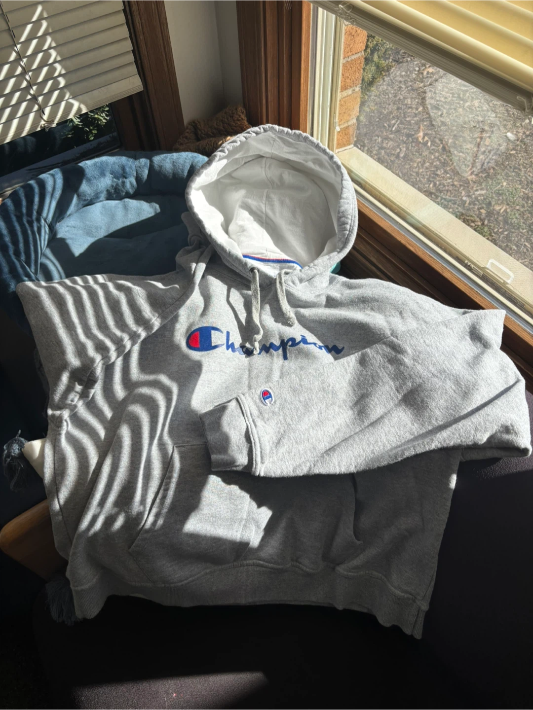 Champion Grey Hoodie - photo 5