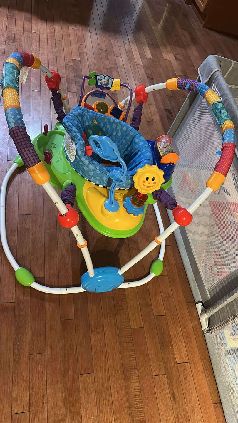 Baby Einstein Musical Motion Bouncer