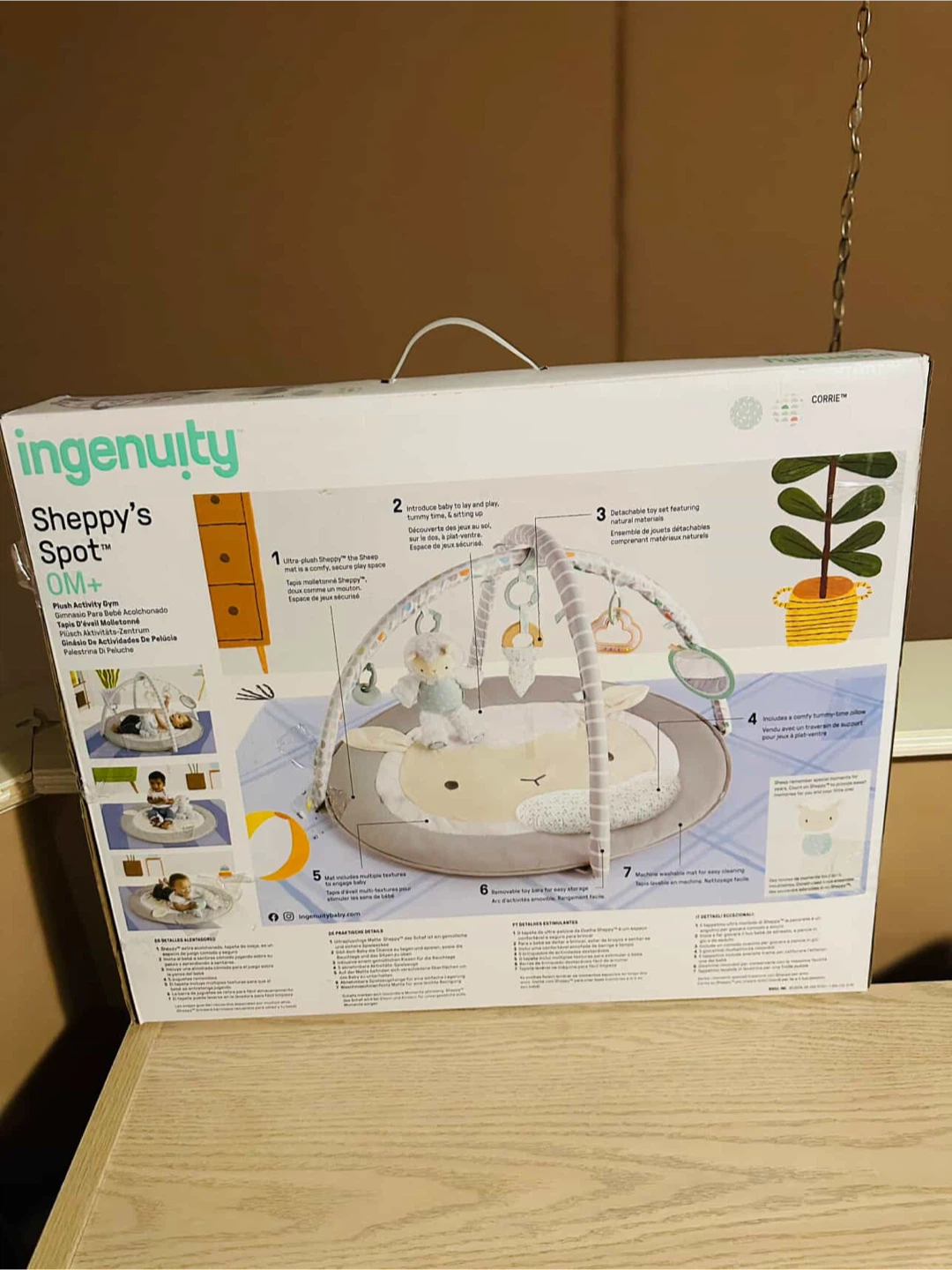 Ingenuity Sheppy's Spot Play Gym OM+