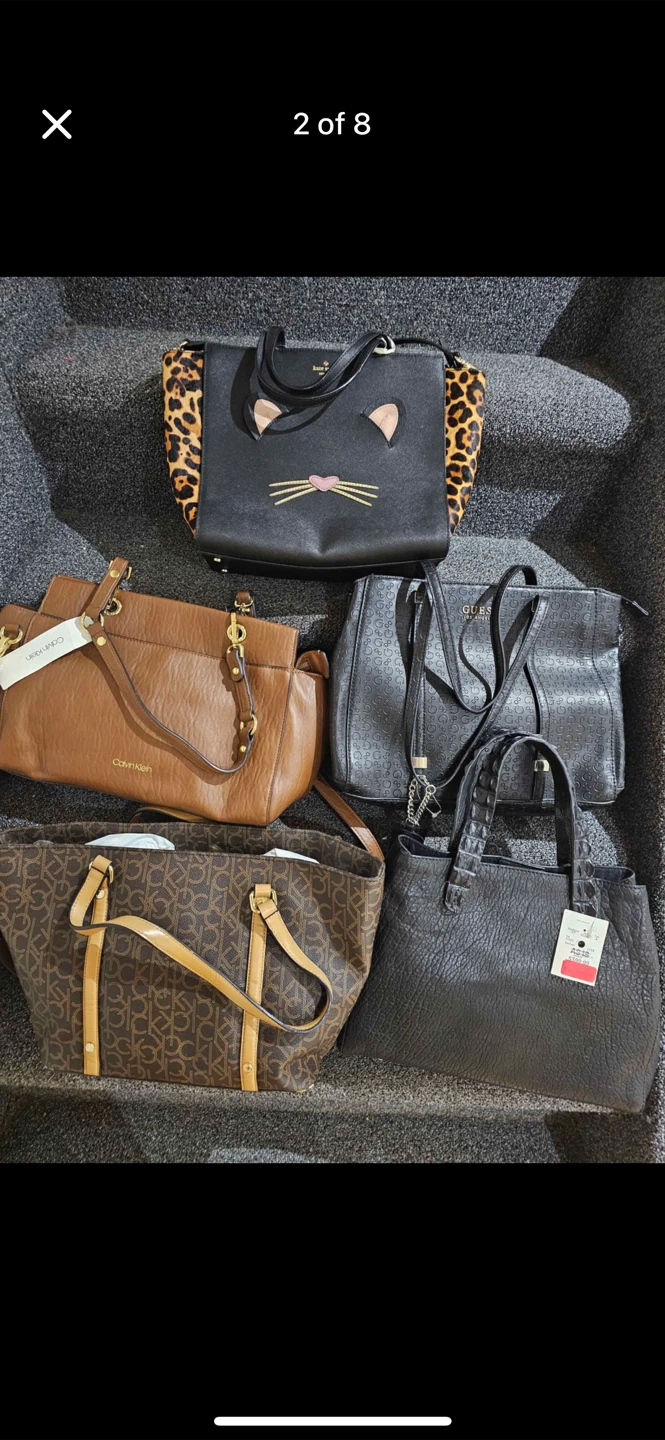 Collection of 5 Designer Handbags and Backpacks