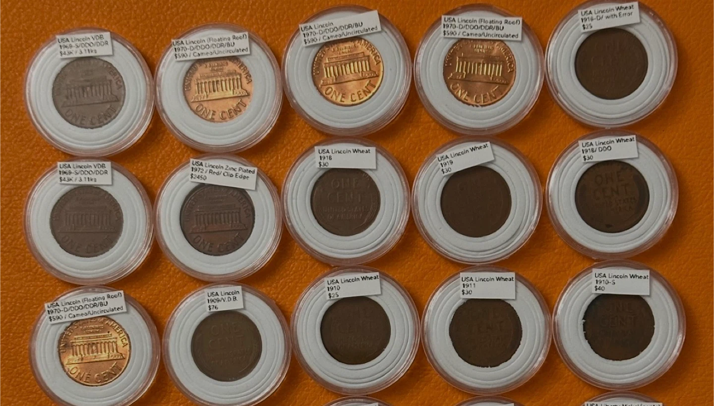 Collection of USA Lincoln Wheat Pennies and VDB Pennies