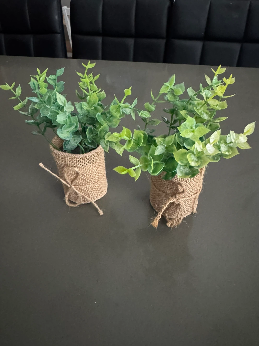 Set of 2 Mini Faux Eucalyptus Plants in Burlap Pots