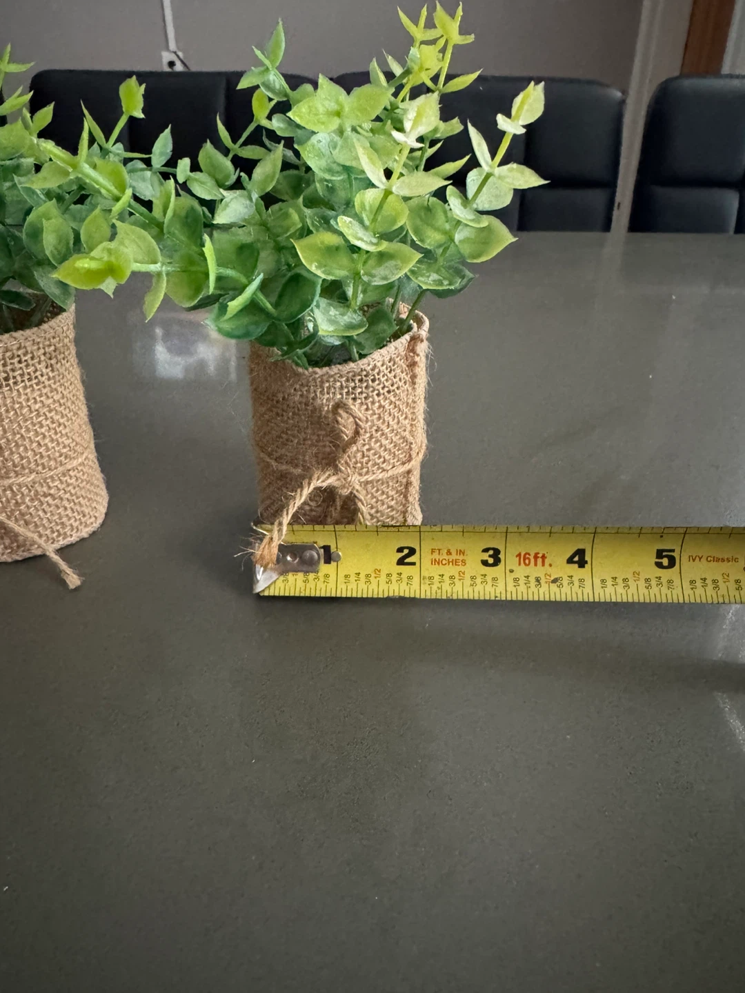 Set of 2 Mini Faux Eucalyptus Plants in Burlap Pots - photo 3